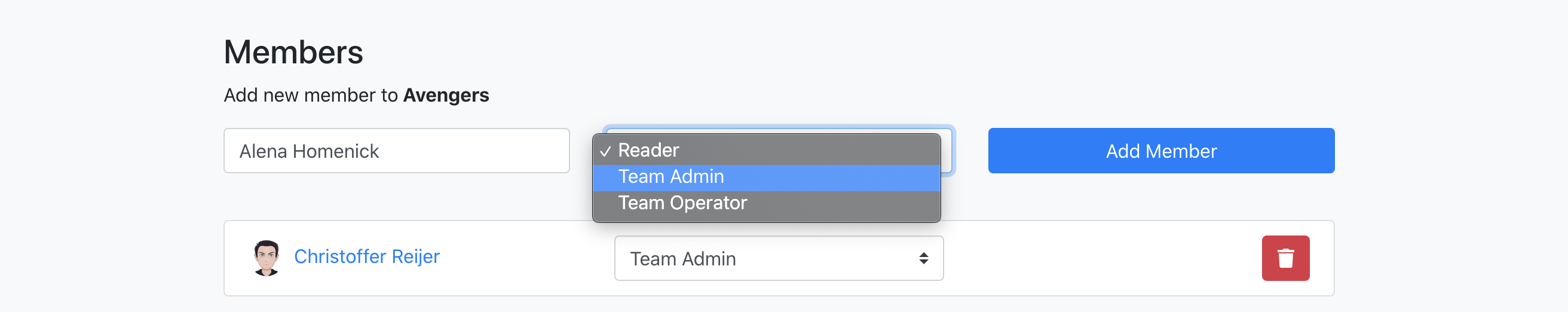 Team membership role